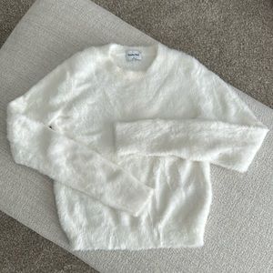 Aritzia Sunday Best Kitten Sweater